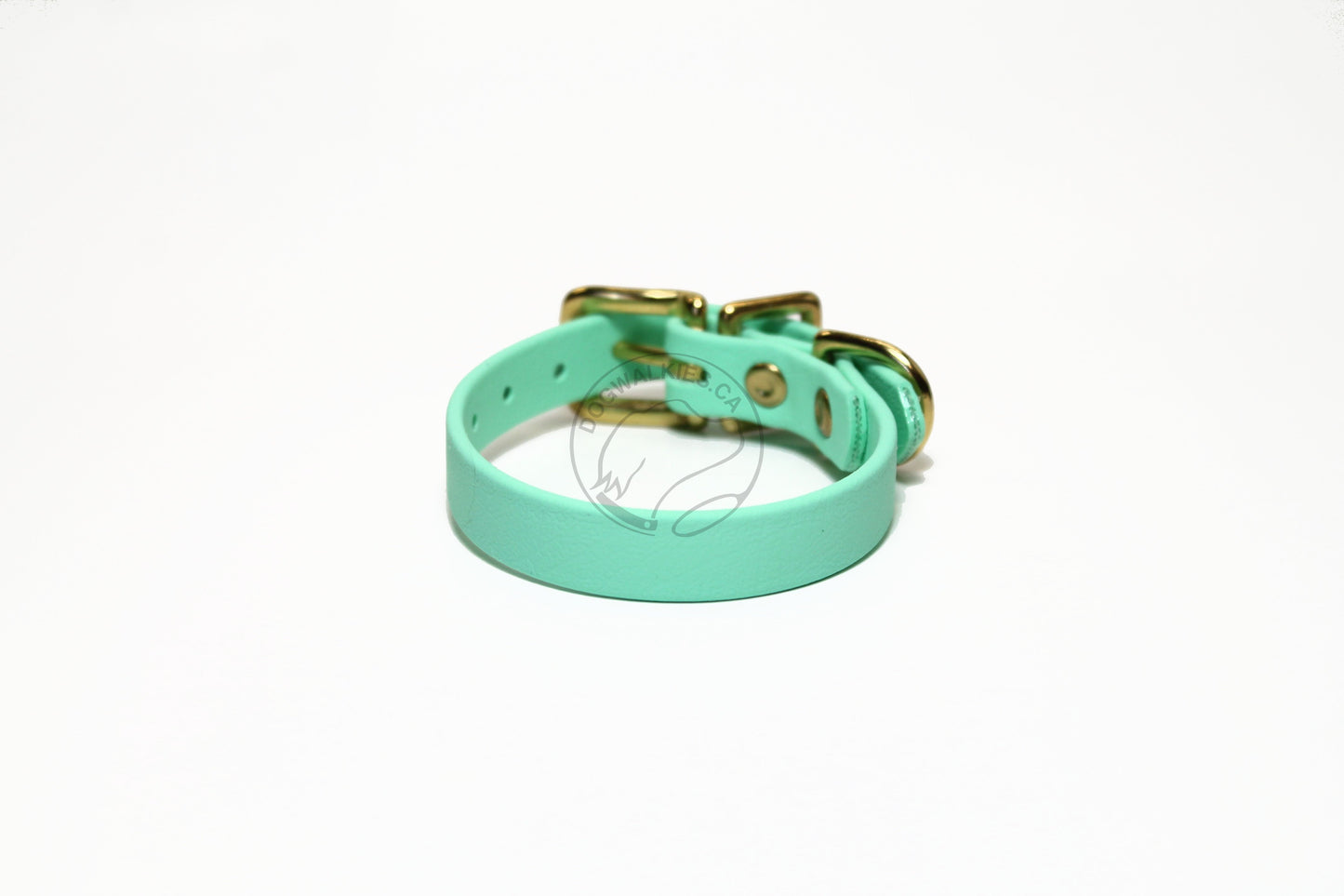 Sea Foam Green Biothane Small Dog Collar - 1/2" (12mm) wide