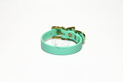 Sea Foam Green Biothane Small Dog Collar - 1/2" (12mm) wide