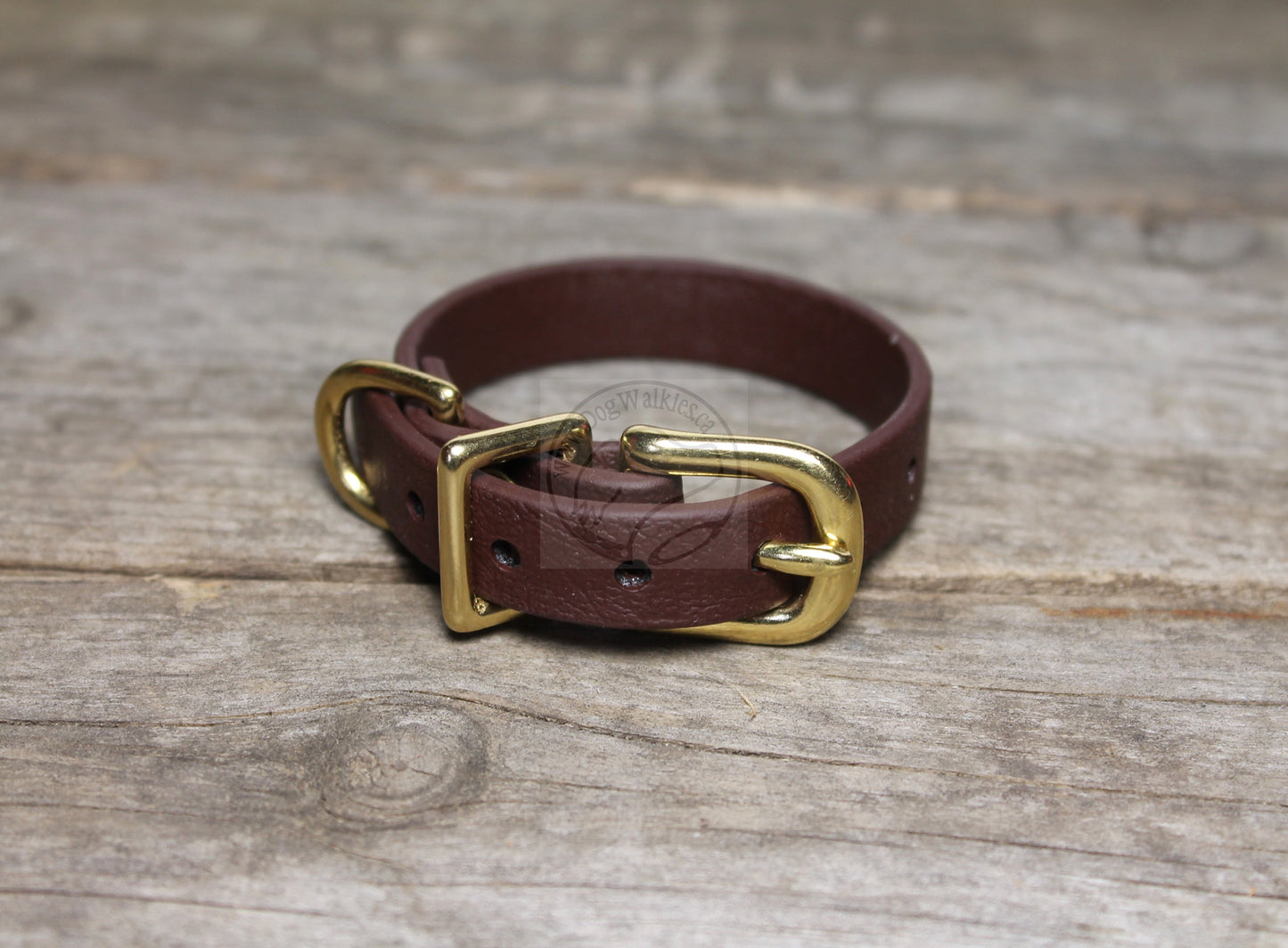 Cat Collar Non-Breakaway Biothane Collar - 1/2" (12mm) wide - all 39 colours