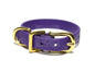 Cat Collar Non-Breakaway Biothane Collar - 1/2" (12mm) wide - all 39 colours