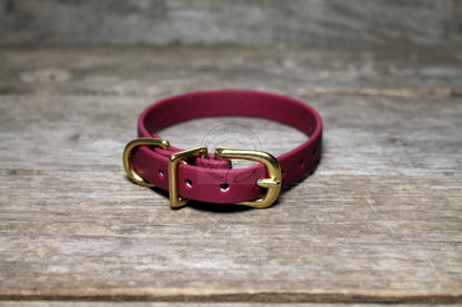 Cat Collar Non-Breakaway Biothane Collar - 1/2" (12mm) wide - all 39 colours