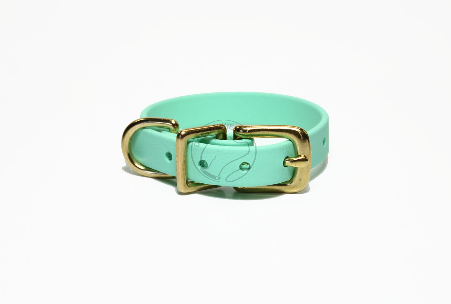 Sea Foam Green Biothane Small Dog Collar - 1/2" (12mm) wide