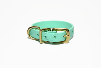 Sea Foam Green Biothane Small Dog Collar - 1/2" (12mm) wide