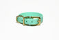 Sea Foam Green Biothane Small Dog Collar - 1/2" (12mm) wide