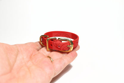 Poppy Red Biothane Small Dog Collar - 1/2" (12mm) wide