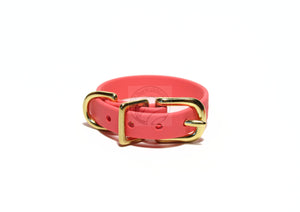 Peach Coral Biothane Small Dog Collar - 1/2" (12mm) wide