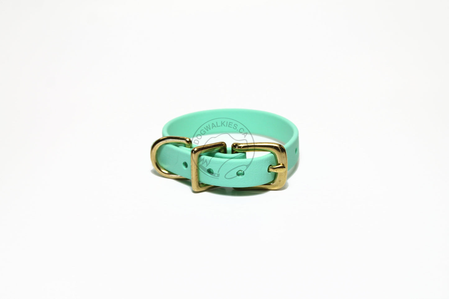 Sea Foam Green Biothane Small Dog Collar - 1/2" (12mm) wide