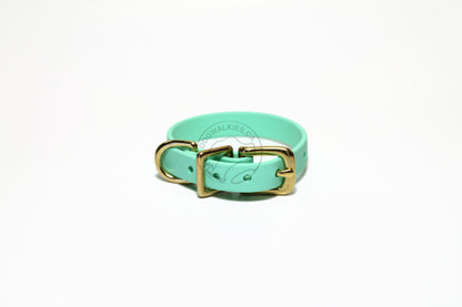 Sea Foam Green Biothane Small Dog Collar - 1/2" (12mm) wide