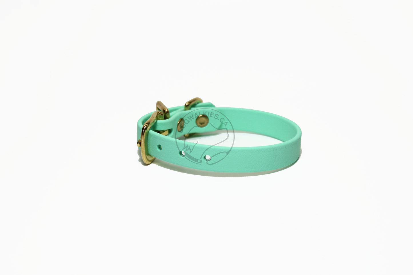 Sea Foam Green Biothane Small Dog Collar - 1/2" (12mm) wide