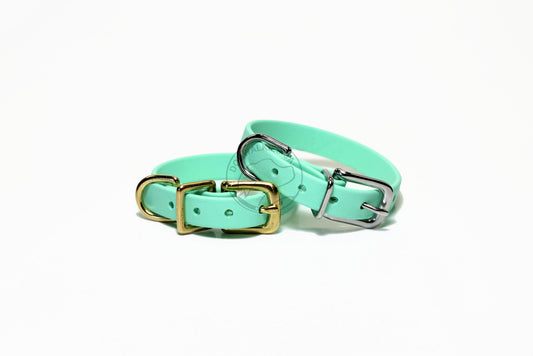 Sea Foam Green Biothane Small Dog Collar - 1/2" (12mm) wide