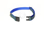Rose Clan tartan - dog collar