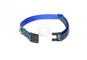 Rose Clan tartan - dog collar