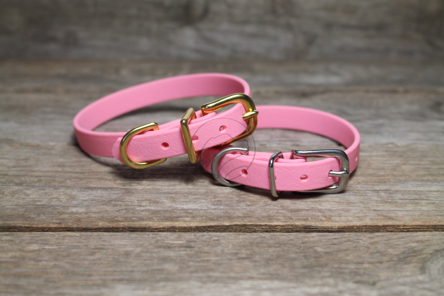 Cat Collar Non-Breakaway Biothane Collar - 1/2" (12mm) wide - all 39 colours