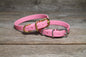 Cat Collar Non-Breakaway Biothane Collar - 1/2" (12mm) wide - all 39 colours