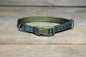 Flower of Scotland tartan - dog collar