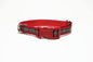 MacGregor Clan tartan - dog collar