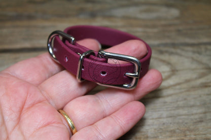 Wine Merlot Biothane Small Dog Collar - 1/2" (12mm) wide