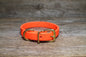 Neon Blaze Orange Biothane Dog Collar - 5/8"(16mm) wide