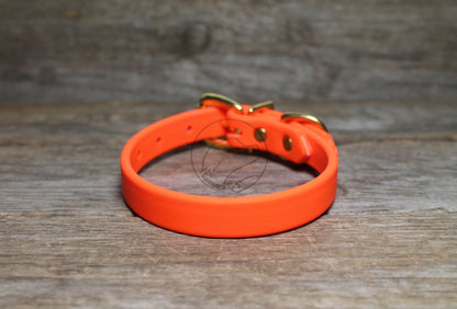 Neon Blaze Orange Biothane Dog Collar - 5/8"(16mm) wide