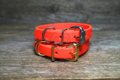Neon Blaze Orange Biothane Dog Collar - 5/8"(16mm) wide