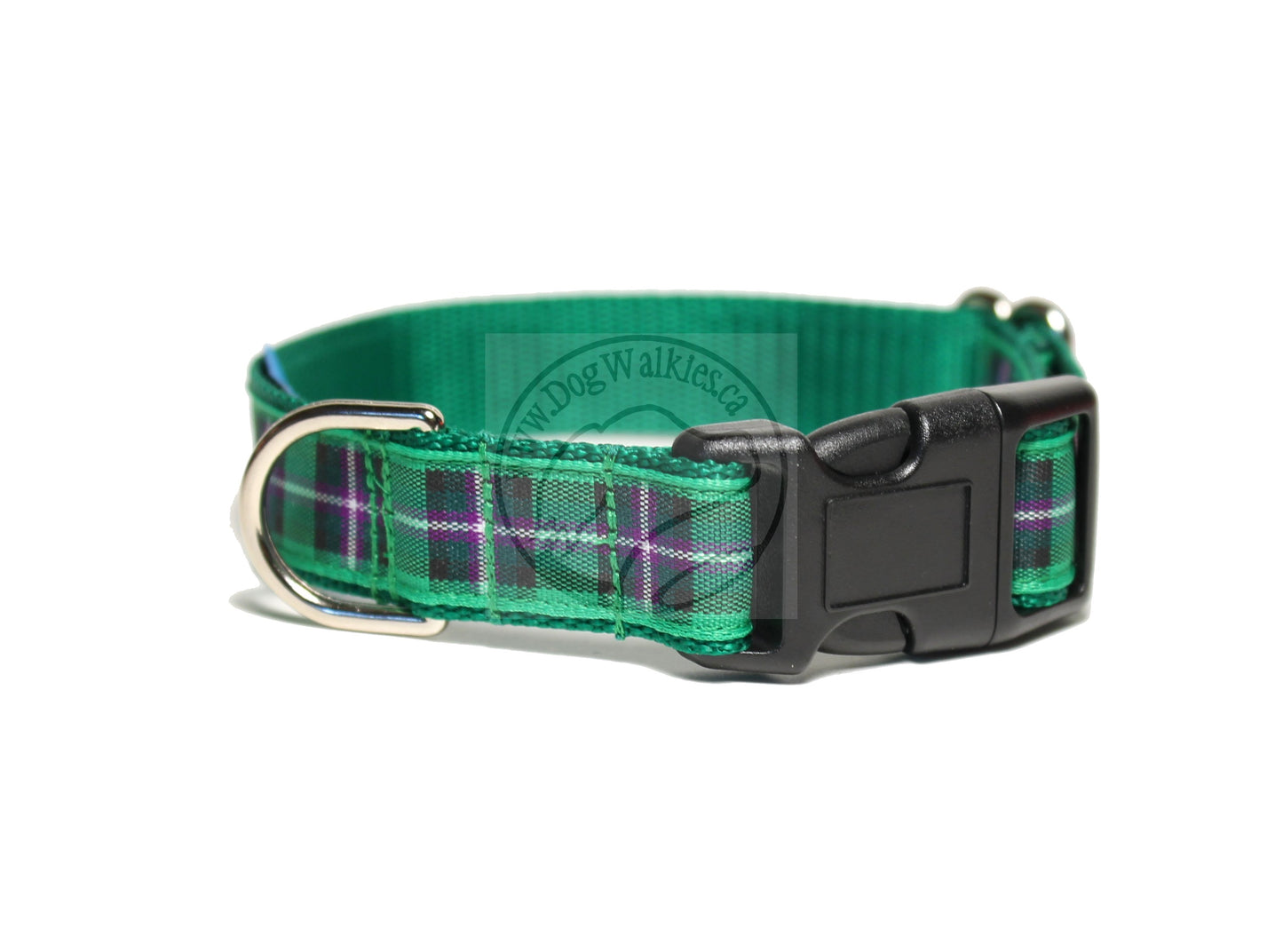 Hibernian FC Hibs tartan - dog collar