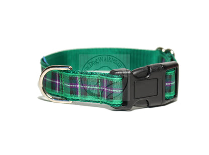 Hibernian FC Hibs tartan - dog collar