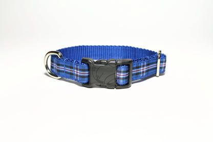 Rangers FC tartan - dog collar