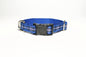 Rangers FC tartan - dog collar