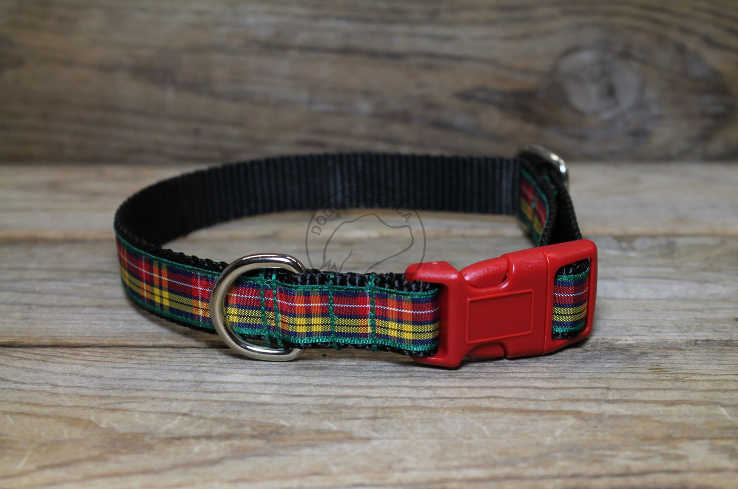 Buchanan clan tartan - dog collar