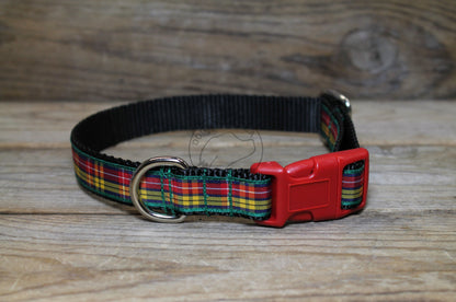 Buchanan clan tartan - dog collar