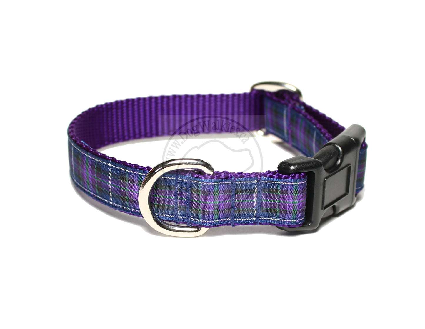 Pride of Scotland Modern tartan - dog collar