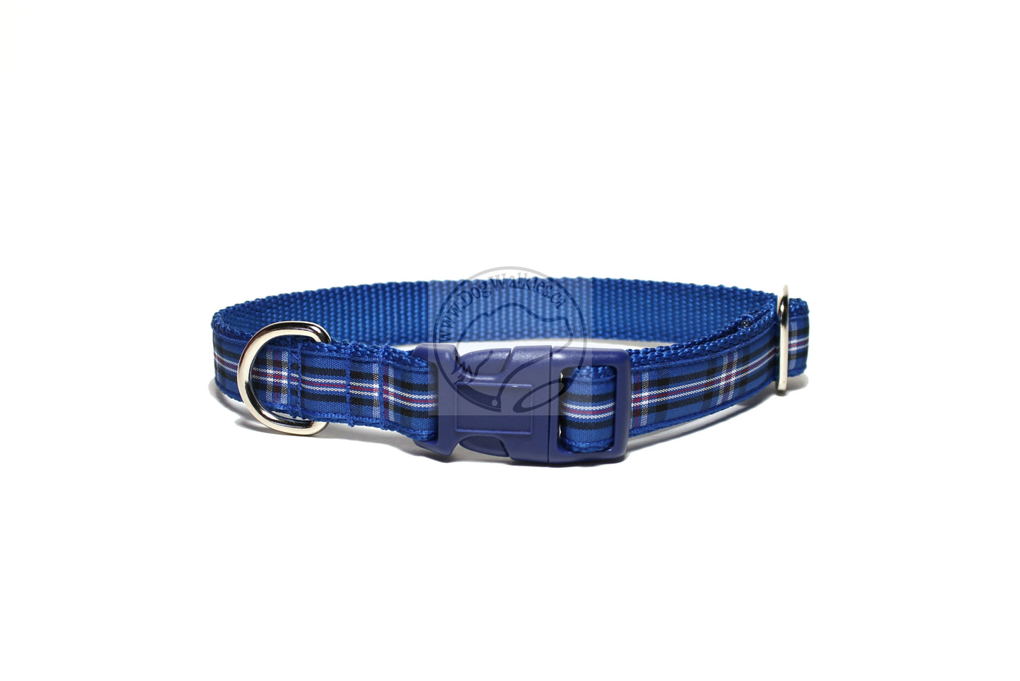 Rangers FC tartan - dog collar
