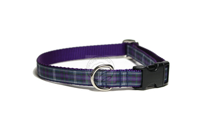Pride of Bannockburn tartan - dog collar