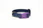 Pride of Scotland Ancient tartan - dog collar