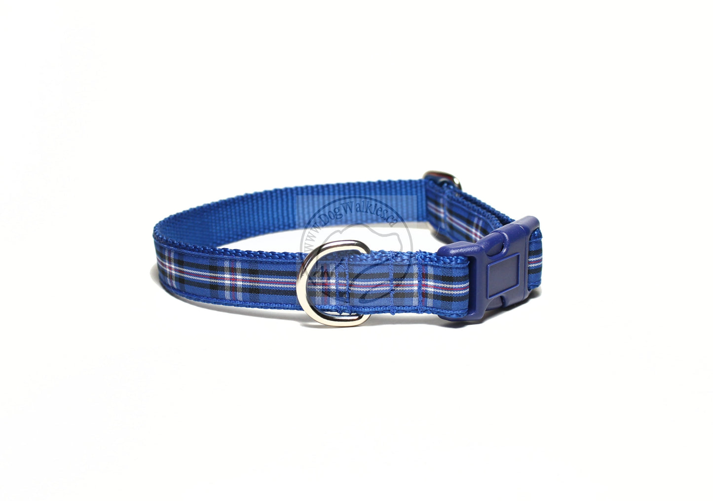 Rangers FC tartan - dog collar
