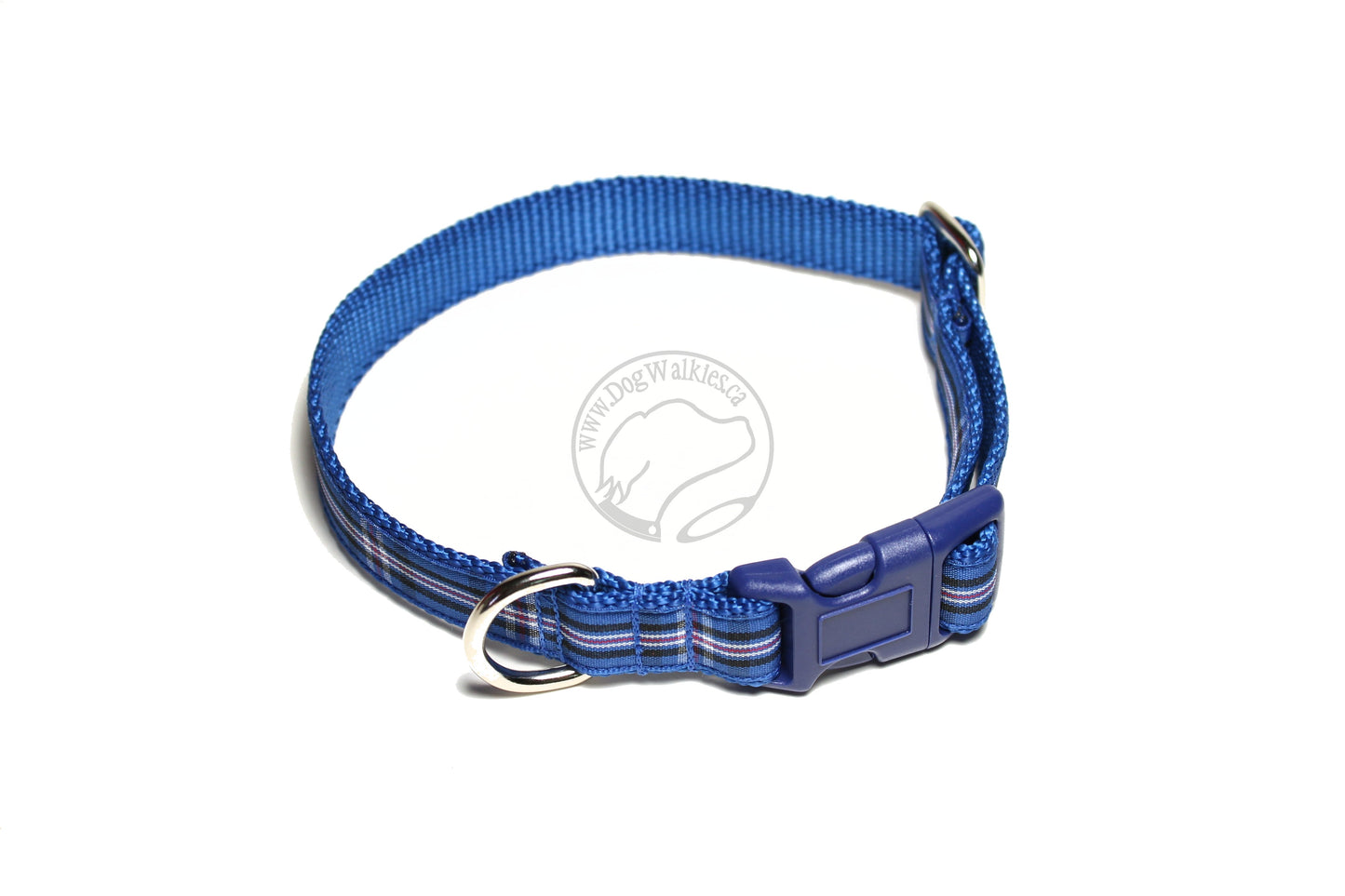 Rangers FC tartan - dog collar