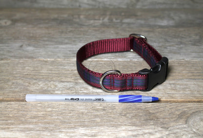 Pride of Scotland Autumn tartan - dog collar