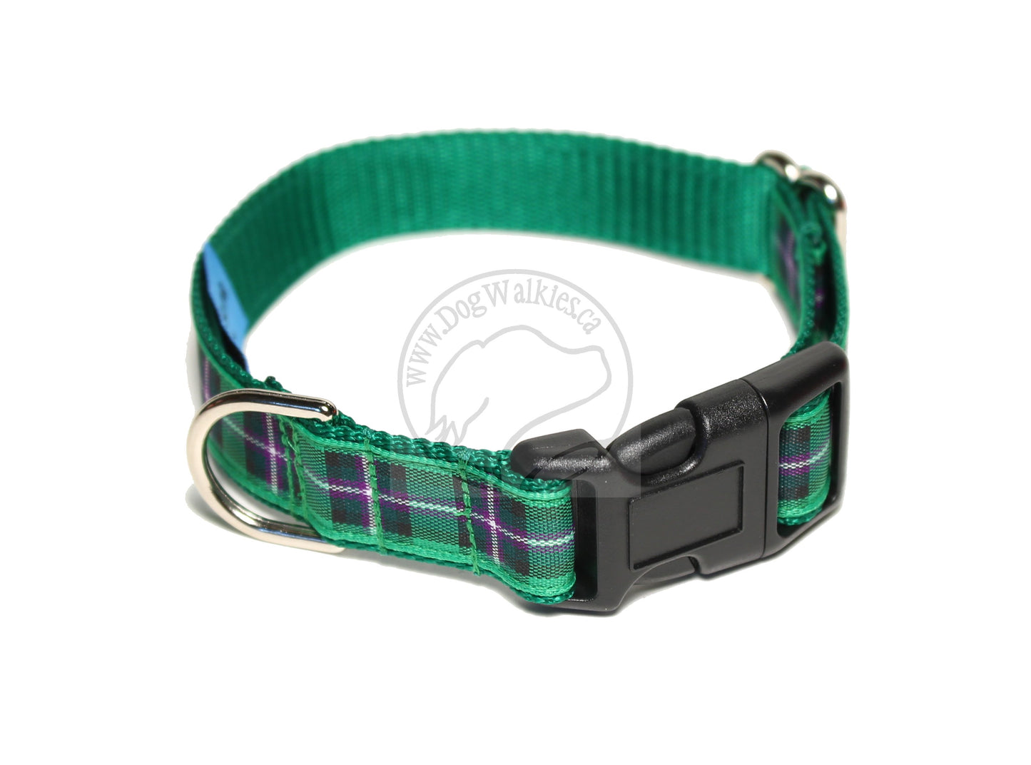 Hibernian FC Hibs tartan - dog collar