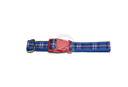 Rangers FC tartan - dog collar
