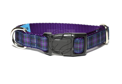 Pride of Scotland Modern tartan - dog collar