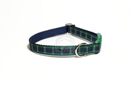Campbell clan tartan - dog collar