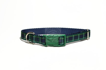 Campbell clan tartan - dog collar