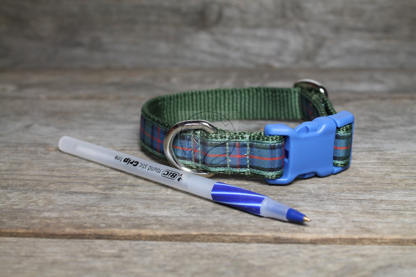 Flower of Scotland tartan - dog collar