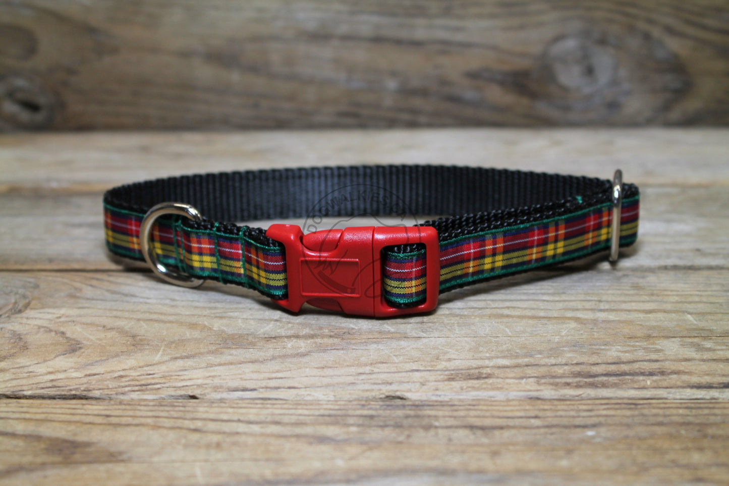 Buchanan clan tartan - dog collar