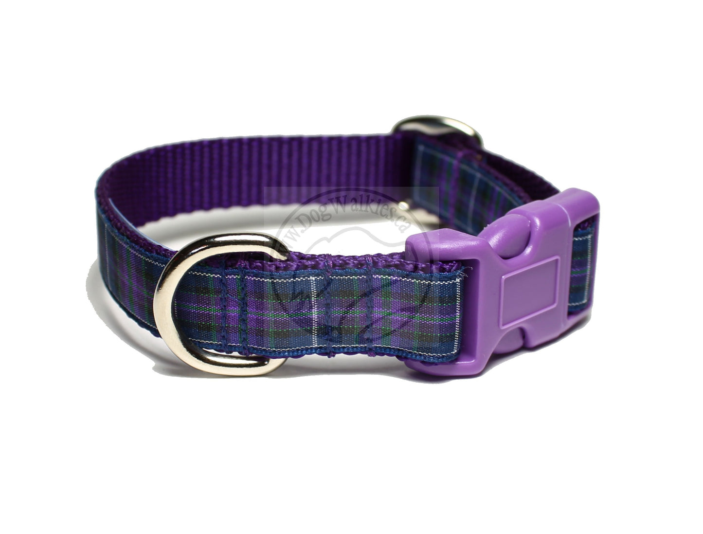 Pride of Scotland Modern tartan - dog collar