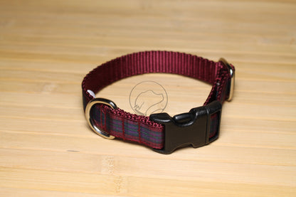 Pride of Scotland Autumn tartan - dog collar