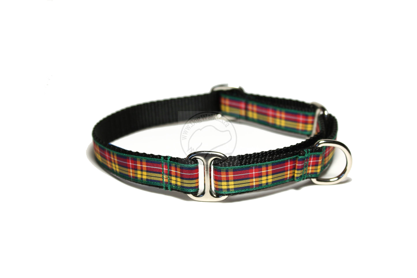 Buchanan clan tartan - dog collar
