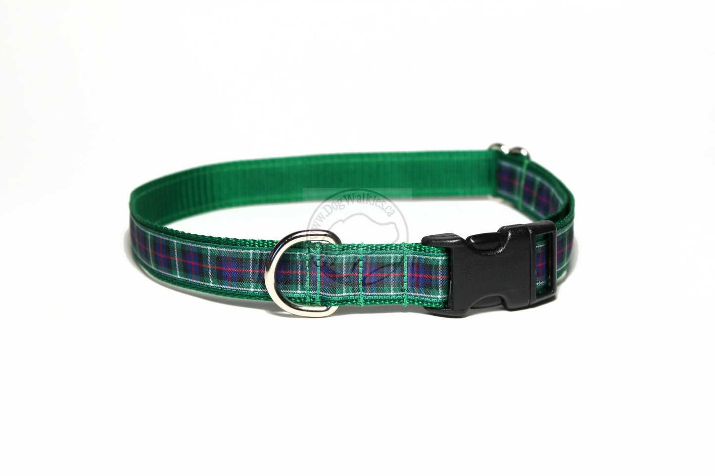 MacKenzie Clan tartan - dog collar