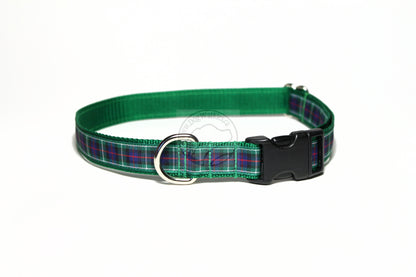 MacKenzie Clan tartan - dog collar