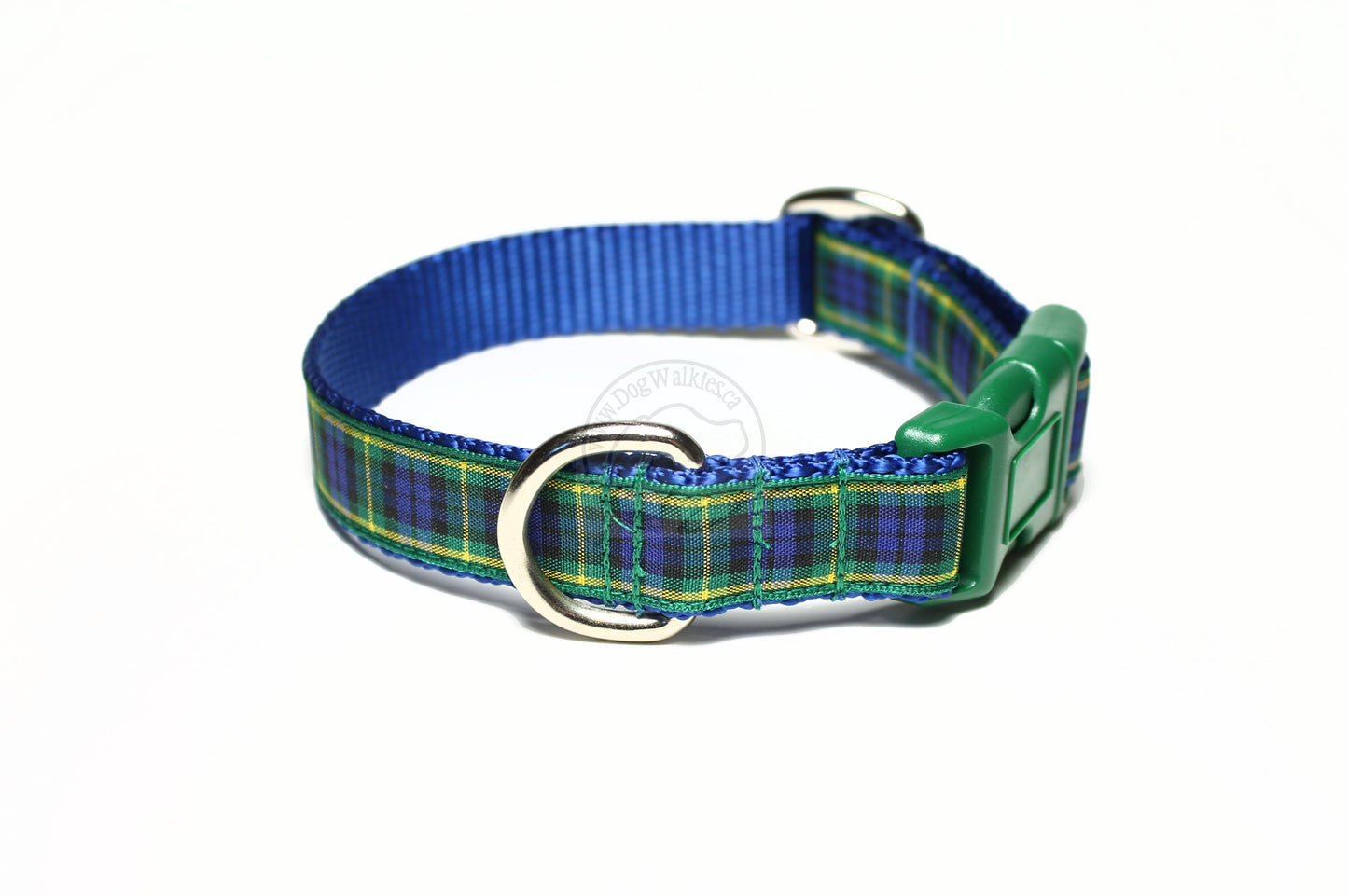 Gordon clan tartan - dog collar